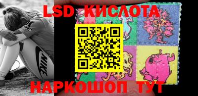 гидра Можга