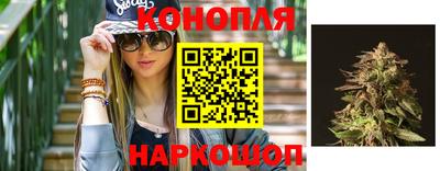 гидра Можга