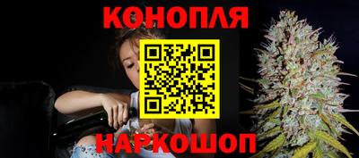 гидра Можга
