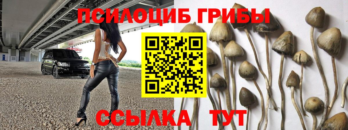 Галлюциногенные грибы Magic Shrooms  Вход с VPN  Трёхгорный 
